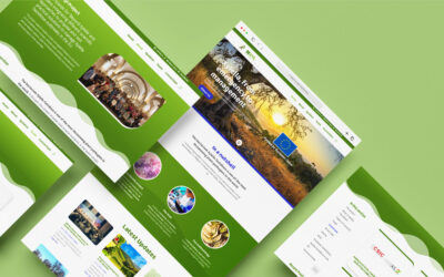 Check the new website out!