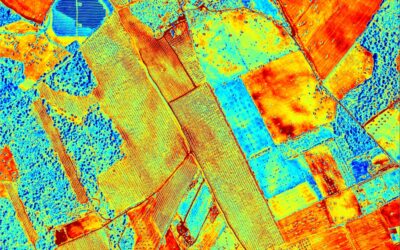 BeXyl to make a contribution to a workshop on remote sensing