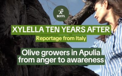 Olive Growers in Apulia: from anger to awareness