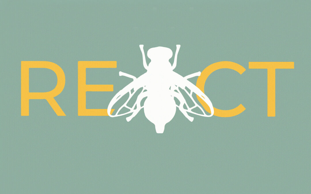 REACT