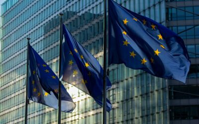EU to update the measures on Xylella fastidiosa