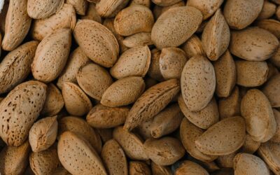Spanish press: Xf and drought put Alicante almond at “risk of extinction”