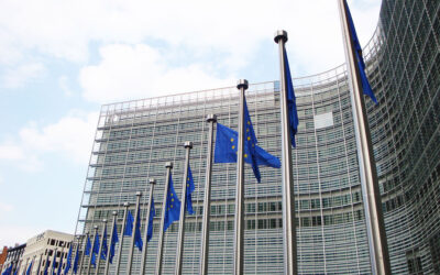 BeXyl participates in EU Commission civil dialogue group
