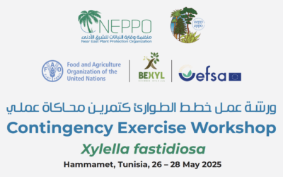 BeXyl to animate a simulation exercise on Xf and plant health emergency in Tunisia