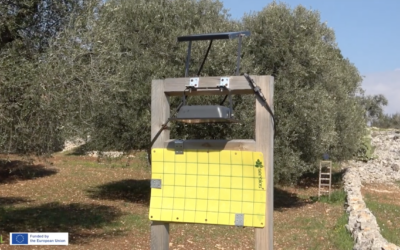 BeXyl prototype for insect trapping device